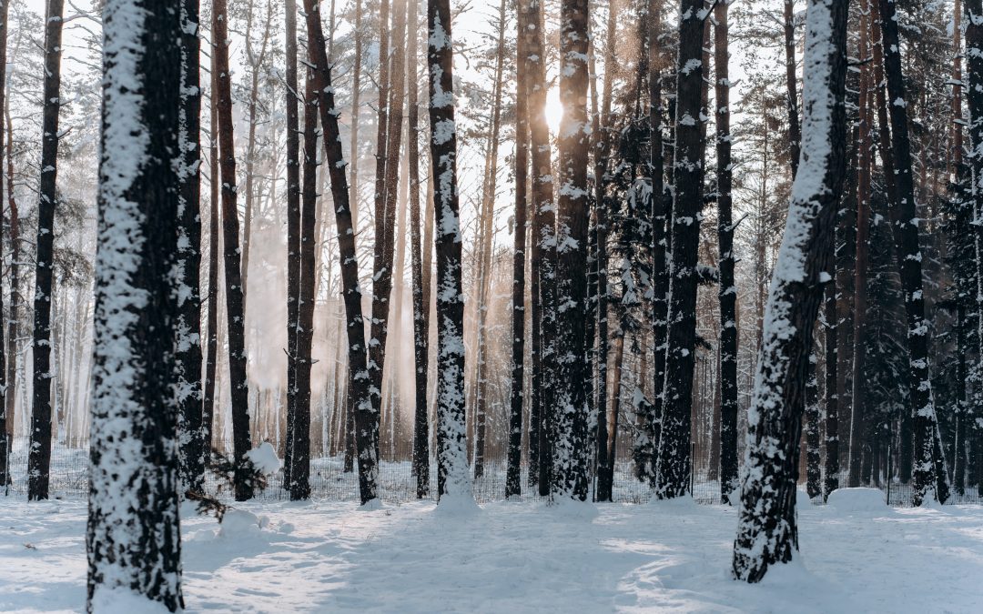 January 4-7: Weekly Update